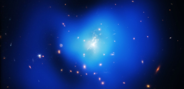 photo of galaxy Phoenix Cluster